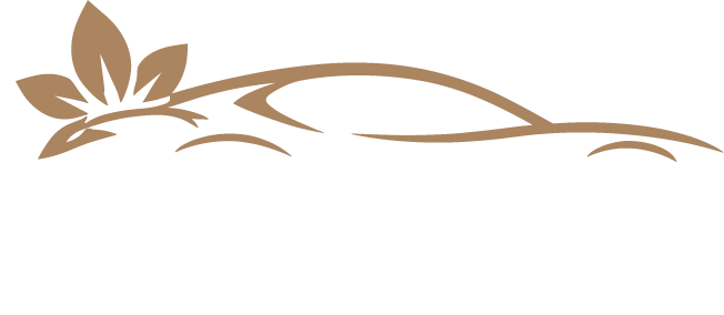 LogoColored